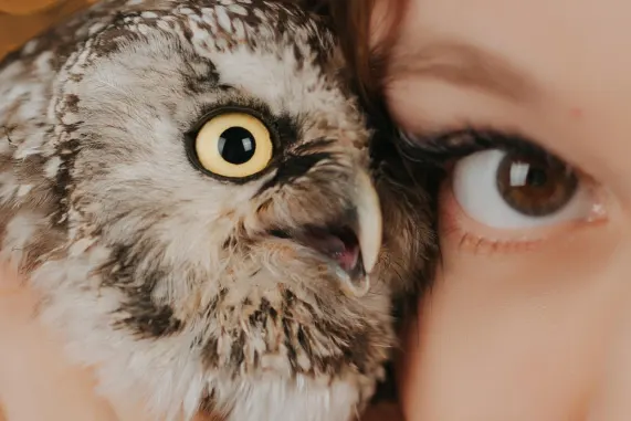 Tusk Casino Podrška